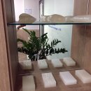 (주)에이티 이미지