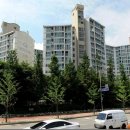 수원-1323 Daum카페