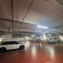 동산휘트니스 | 범계 헬스장 MN휘트니스 범계점에서 봄맞이 몸만들기 진행중