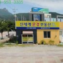 신세계부동산중개 이미지