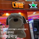 대빵오락실 압구정점 이미지