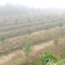 자담농장 이미지