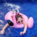 똑똑풀빌라 독채펜션 이미지