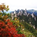 단풍