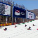 곤지암리조트스키장곤지암눈썰매장 티스토리