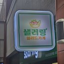 라이스문 | 광교중앙역 점심 포케, 샐러링 광교중앙역점 푸짐한 포케와 라이스랩 솔직후기