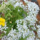 명계농장 이미지