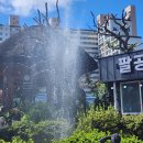 보들하이 | 대구 팔공산에서 즐기는 직접 도축한 질좋은 한우 '팔공로507'