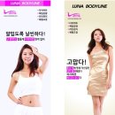 바디라인 이미지