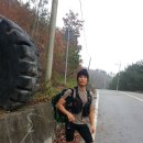 부남면011 Daum카페