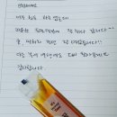 핑크장 이미지