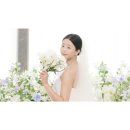 법인자연캠 | W10. 가성비 본식DVD 테레즈필름 jnj아트컨벤션 계약 후기 + 추천인 코드 공유