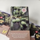 올리브호텔 | [파지티브호텔] 올리브오일 캡슐 쿠파주 내돈내산 후기