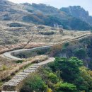 나홀로 창녕 화왕산 억새밭 최단 3코스 2시간의 찐 등산후기| 주차 입장료 화왕산성