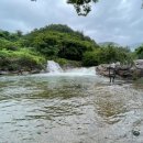 봉강 하조 오토캠핑장 | 광양 봉강하조오토캠핑장