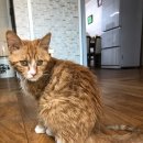 김태화동물병원 이미지