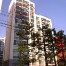 세븐일레븐 안성공도제일점 이미지