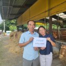 조기수농장 이미지