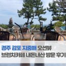 지중해소나무 | 경주 감포 지중해 오션뷰 브런치카페 내돈내산 방문 후기(함께 가볼만한 곳 전촌용굴)