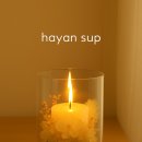 오브제-꽃과빛 이미지