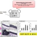 경화 양봉 이미지