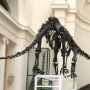 마멘치사우루스 이미지