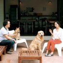 강아지집 이미지