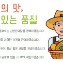 광이네 이미지
