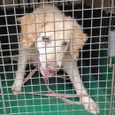 육호광장 이미지