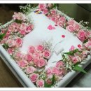 뚱이애견 이미지