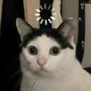신용오토바이
