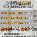 그린인테리어필름 이미지