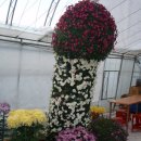 거제시농업개발원 이미지