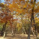 태강릉 입구 이미지