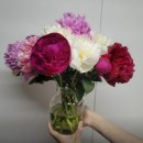 송이농장 이미지