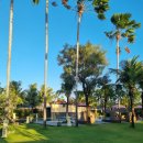 룸비니수영장 이미지