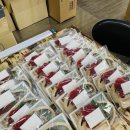 스칸디아모스 카네이션 바구니 만들기 이미지