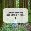 자연화장품，자연피부관리