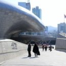 DDP 이미지