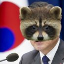 평화6태양광발전소 이미지