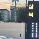사태 | 울산 평양냉면 맛집 삼복면옥 평양냉면 아롱사태수육 후기