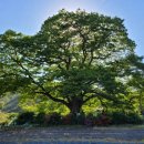 보탑사 주차장 이미지