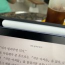 콘디토라이 벨팡