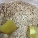 맘모스프라자 | [뚜레쥬르 빵 추천] 뚜레쥬르 밤이 듬뿍 맘모스(대) : 혜자로운 토핑