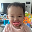 재이카페 | 재이의 두살살이[1월]