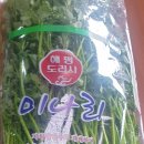 박소현미나리 이미지