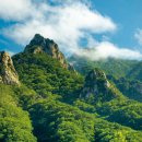 바다호텔 이미지