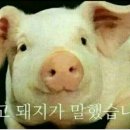 고기싸롱화성 이미지