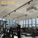 피티포유 이미지