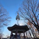 까투리 동아점 | [서울 가볼만한곳 ] 서울 단풍 명소 / 남산 하늘숲길